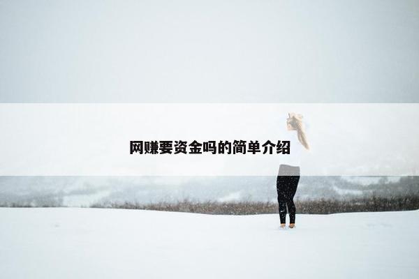 网赚要资金吗的简单介绍