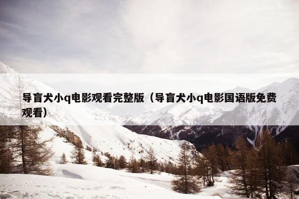 导盲犬小q电影观看完整版（导盲犬小q电影国语版免费观看）
