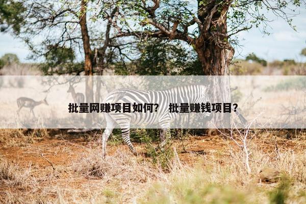 批量网赚项目如何？ 批量赚钱项目？