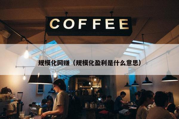 规模化网赚（规模化盈利是什么意思）