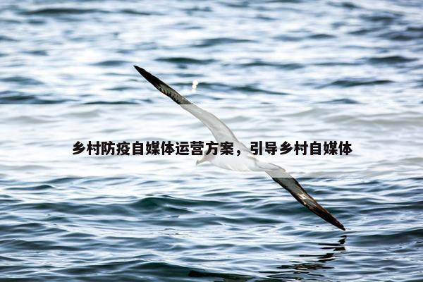 乡村防疫自媒体运营方案，引导乡村自媒体
