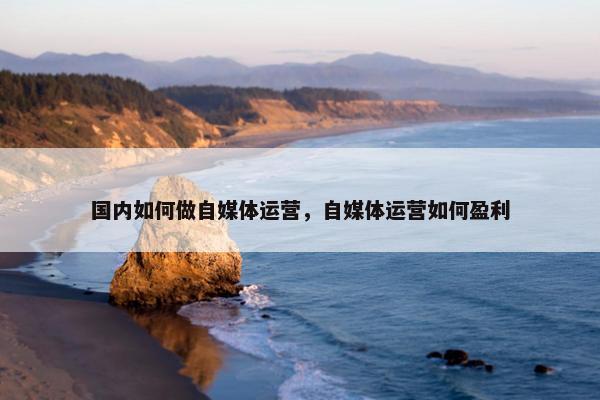 国内如何做自媒体运营，自媒体运营如何盈利