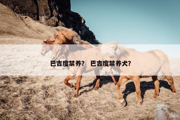 巴吉度禁养？ 巴吉度禁养犬？