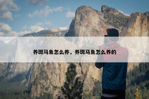 养斑马鱼怎么养，养斑马鱼怎么养的