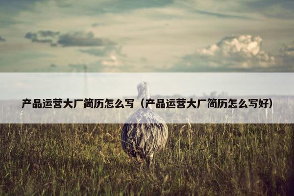 产品运营大厂简历怎么写（产品运营大厂简历怎么写好）