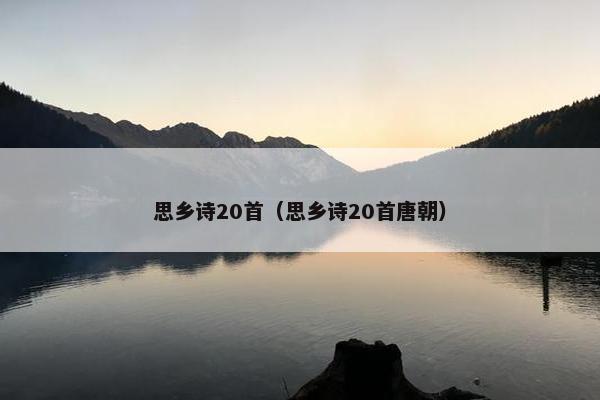 思乡诗20首（思乡诗20首唐朝）