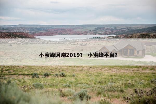 小蜜蜂网赚2019？ 小蜜蜂平台？