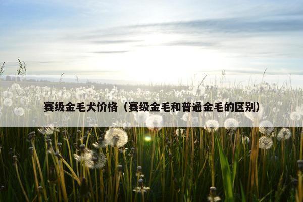 赛级金毛犬价格（赛级金毛和普通金毛的区别）