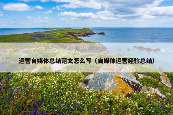 运营自媒体总结范文怎么写（自媒体运营经验总结）