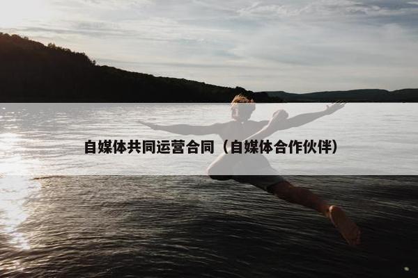 自媒体共同运营合同（自媒体合作伙伴）