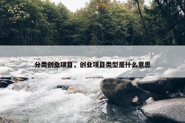 分类创业项目，创业项目类型是什么意思