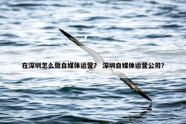 在深圳怎么做自媒体运营？ 深圳自媒体运营公司？