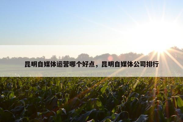 昆明自媒体运营哪个好点，昆明自媒体公司排行