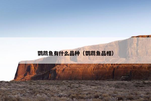 鹦鹉鱼有什么品种（鹦鹉鱼品相）
