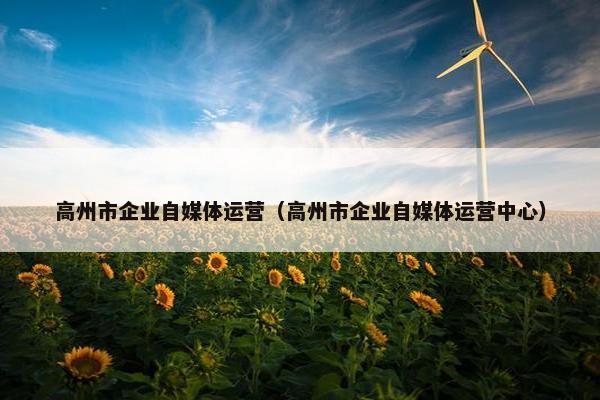 高州市企业自媒体运营（高州市企业自媒体运营中心）