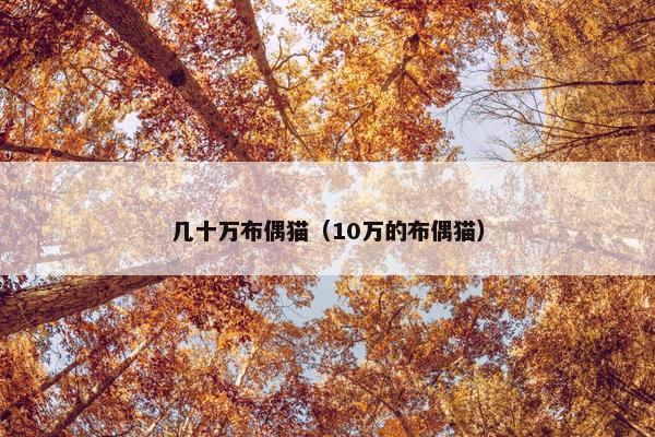 几十万布偶猫（10万的布偶猫）