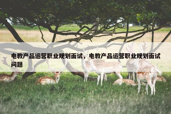 电教产品运营职业规划面试，电教产品运营职业规划面试问题
