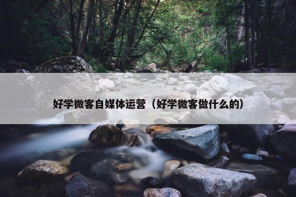 好学微客自媒体运营（好学微客做什么的）