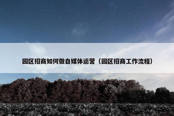 园区招商如何做自媒体运营（园区招商工作流程）