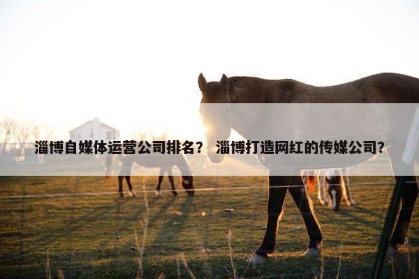淄博自媒体运营公司排名？ 淄博打造网红的传媒公司？