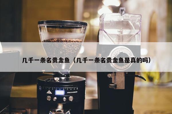 几千一条名贵金鱼（几千一条名贵金鱼是真的吗）