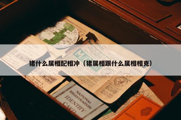 猪什么属相配相冲（猪属相跟什么属相相克）