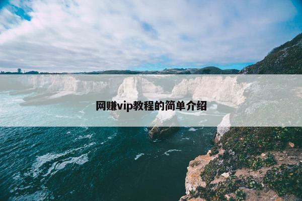 网赚vip教程的简单介绍