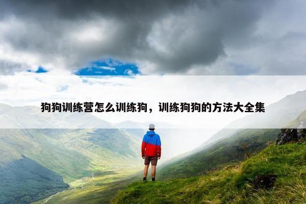 狗狗训练营怎么训练狗，训练狗狗的方法大全集
