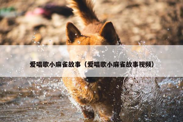 爱唱歌小麻雀故事（爱唱歌小麻雀故事视频）