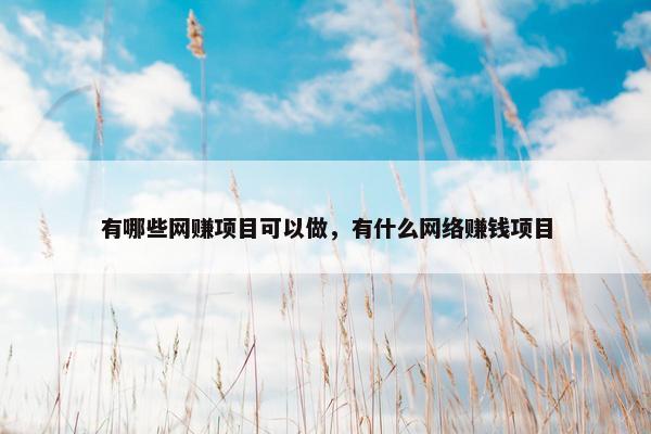 有哪些网赚项目可以做，有什么网络赚钱项目