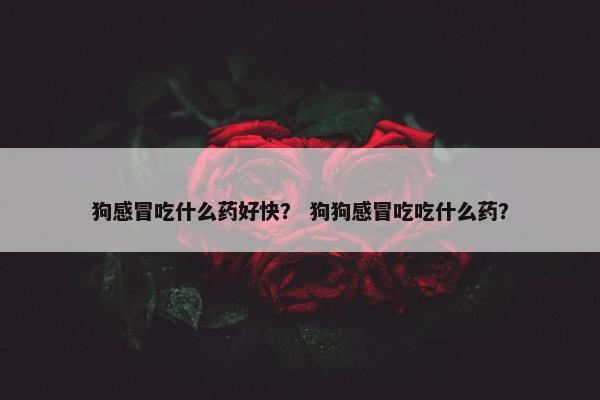 狗感冒吃什么药好快？ 狗狗感冒吃吃什么药？