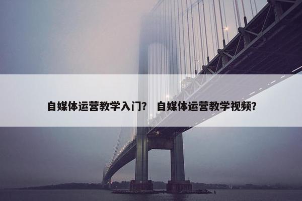 自媒体运营教学入门？ 自媒体运营教学视频？