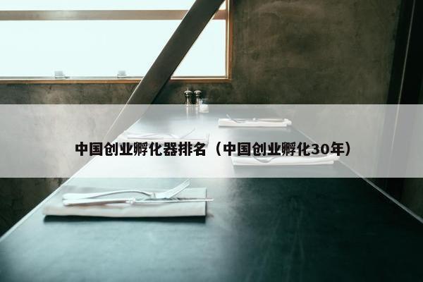 中国创业孵化器排名（中国创业孵化30年）