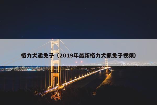 格力犬逮兔子（2019年最新格力犬抓兔子视频）