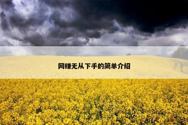 网赚无从下手的简单介绍