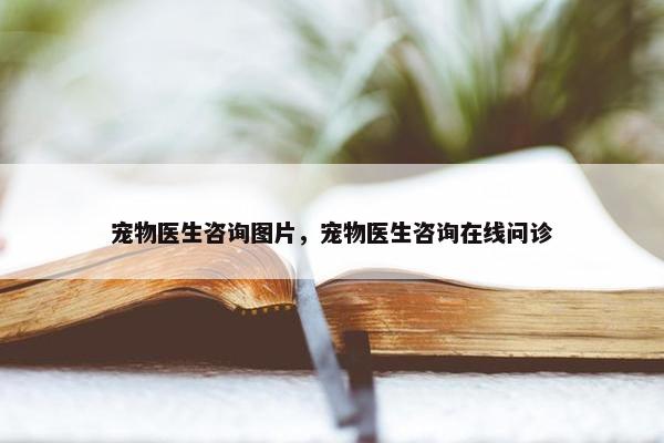 宠物医生咨询图片，宠物医生咨询在线问诊