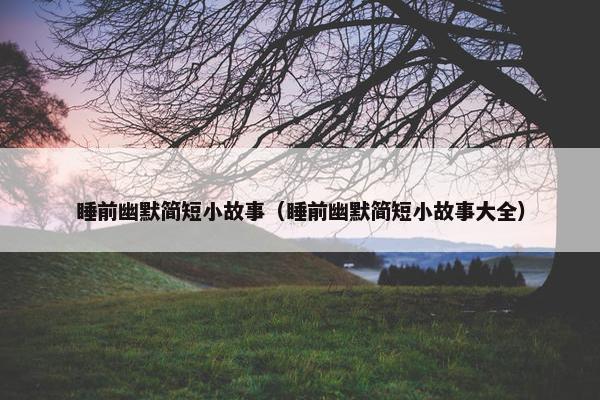 睡前幽默简短小故事（睡前幽默简短小故事大全）