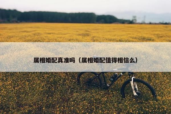 属相婚配真准吗（属相婚配值得相信么）