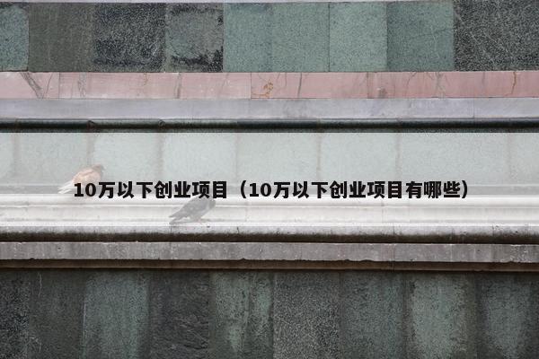 10万以下创业项目（10万以下创业项目有哪些）