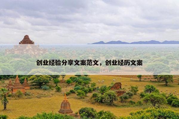 创业经验分享文案范文，创业经历文案