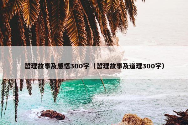 哲理故事及感悟300字（哲理故事及道理300字）