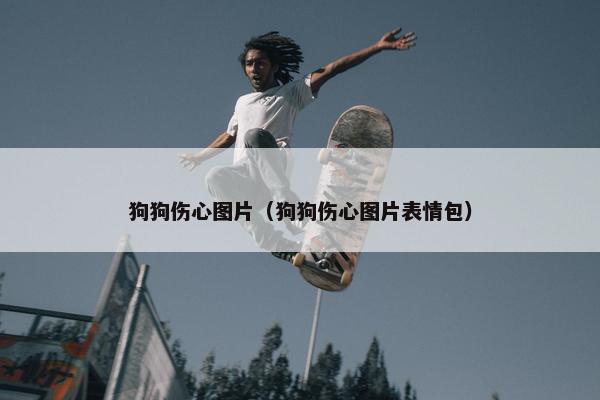 狗狗伤心图片（狗狗伤心图片表情包）