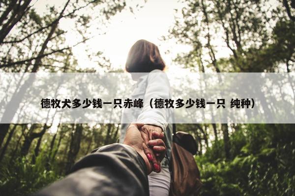 德牧犬多少钱一只赤峰（德牧多少钱一只 纯种）