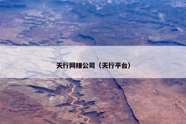 天行网赚公司（天行平台）