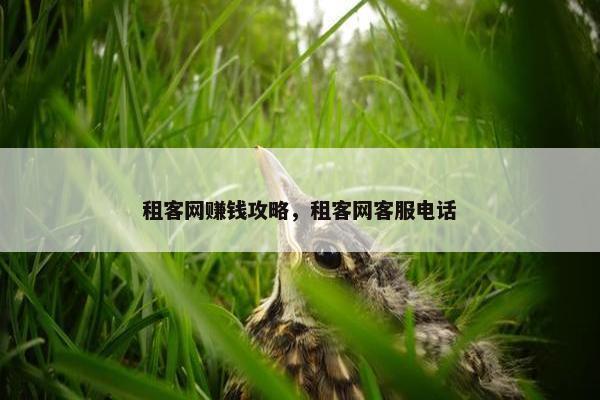 租客网赚钱攻略，租客网客服电话