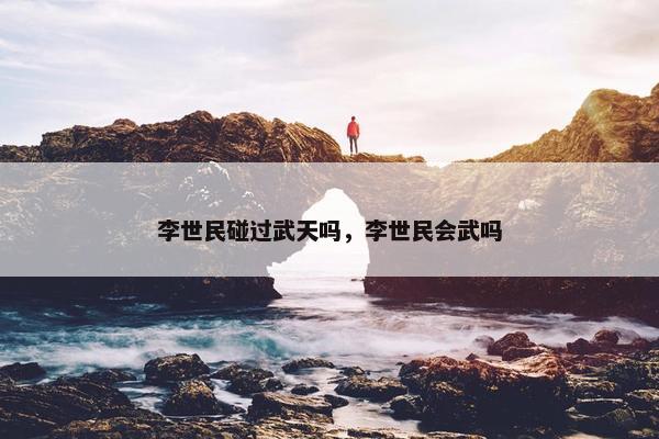 李世民碰过武天吗，李世民会武吗