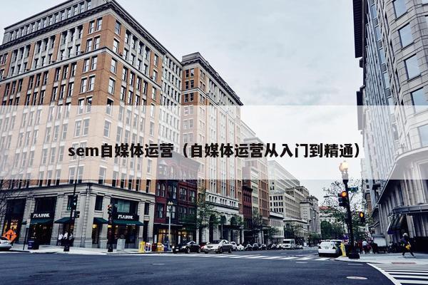 sem自媒体运营（自媒体运营从入门到精通）