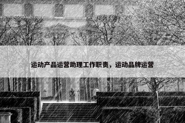 运动产品运营助理工作职责，运动品牌运营