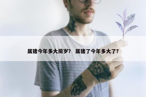 属猪今年多大周岁？ 属猪了今年多大了？