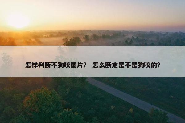 怎样判断不狗咬图片？ 怎么断定是不是狗咬的？